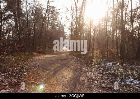 Germania, Foresta di Teutoburg nella regione di Munster, Ibbenbueren Foto Stock