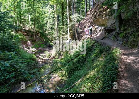 Europa, Germania, Baden-Wuerttemberg, Parco Naturale della Foresta Svevo-Franconiana, Welzheim, escursionisti nell'Edenbachtal Foto Stock