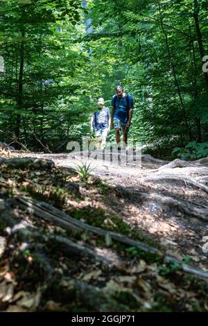 Europa, Germania, Baden-Wuerttemberg, Foresta Svevo-Franconia, Spiegelberg, Escursionisti su un sentiero rooty nella gola di Bodenbach Foto Stock