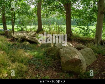 Grande tomba di pietra Restrup, Bippen, Artland, Osnabrücker Land, bassa Sassonia, Germania Foto Stock