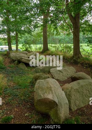 Grande tomba di pietra Restrup, Bippen, Artland, Osnabrücker Land, bassa Sassonia, Germania Foto Stock