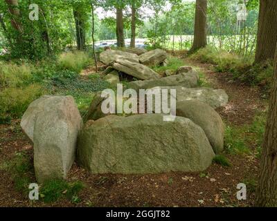 Grande tomba di pietra Restrup, Bippen, Artland, Osnabrücker Land, bassa Sassonia, Germania Foto Stock