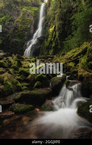 Cascata di Burgbach nella Foresta Nera. Foto Stock