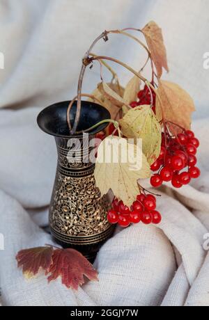 Primo piano delle bacche di viburno rosso mature nel vaso metallico decorativo sul tessuto Foto Stock