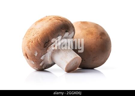 Funghi di champignon crudi per una gustosa cottura isolati su sfondo bianco Foto Stock