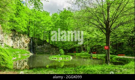 Riflessione d'acqua in un bel lago forestale Foto Stock