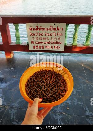 Distributore automatico che vende pesce alimentare presso un lago in un parco cittadino. Samui , Tailand - 02.20.2020 Foto Stock