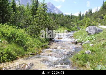 Austria, Tirolo, Leutasch, Leutaschtal, Gaistal, Montagne, alpi, Monti Wetterstein, paesaggio montano, paesaggio montano, idillio, ruscello, ruscello, atmosferica, estate, cielo, rocce, turismo, natura, alberi Foto Stock