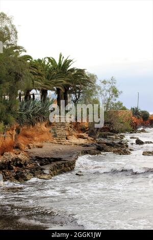 Spiaggia, baia, palme, Spagna, Isole Baleari, Mallorca, Cala Millor Foto Stock