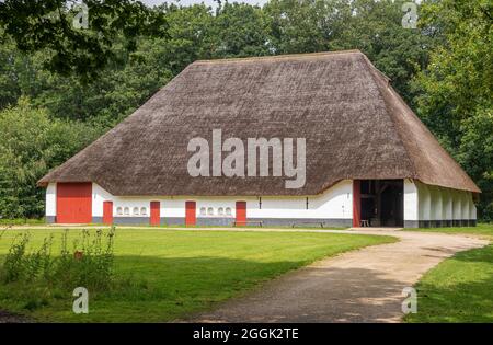 Genk, Belgio - 11 agosto 2021: Domein Bokrijk. Granaio gigante di Zuienkerke con grande tetto di paglia, pareti bianche e porte rosse, dietro prato verde e in f Foto Stock