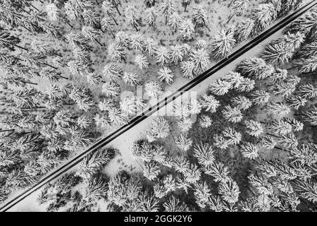 Foresta invernale, Monschau, Germania Foto Stock