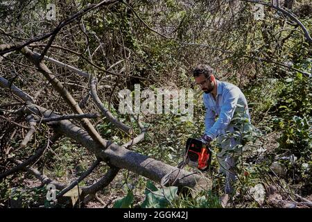 Un ragazzo con una motosega taglia il tronco di un albero caduto. Foto Stock