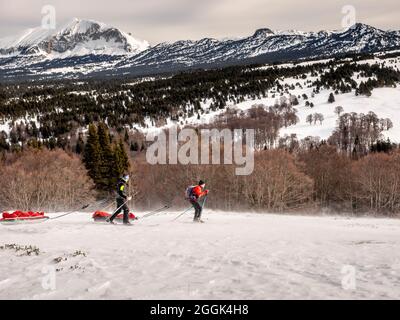 Due sciatori in un tour sciistico con slitte in materiale pulka attraverso la riserva naturale Réserve naturelle des Hauts Plateeus du Vercors. Sullo sfondo il Grand Veymont Foto Stock