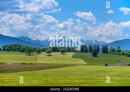 Germania, Baviera, alta Baviera, Pfaffenwinkel, Eglfing, Distretto Tauting, paesaggio primaverile contro le montagne di Ammer Foto Stock