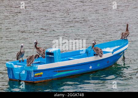 I pellicani siedono alla barca da pesca in un porto di Puerto Lopez, Ecuador Foto Stock