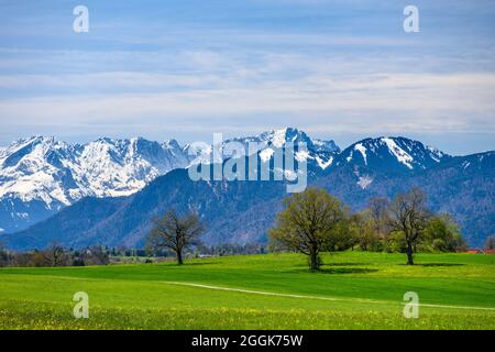 Germania, Baviera, alta Baviera, Pfaffenwinkel, Obersöchering, Distretto Aertshausen, paesaggio primaverile contro il massiccio dello Zugspitze Foto Stock