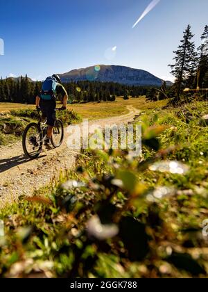 Tour in mountain bike attraverso la riserva naturale degli Hauts-Plateais du Vercors, dipartimento Auvergne-Rhône-Alpes. Sullo sfondo il Grand Veymont. Foto Stock