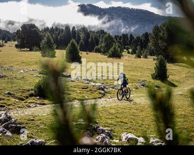 Mountain biker su sentieri singoli in tour attraverso la riserva naturale Hauts-Plateais du Vercors, Auvergne-Rhône-Alpes. Foto Stock