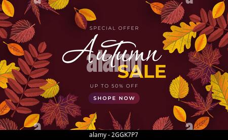 Banner vendita autunno con foglie. Modello vettoriale per banner di vendita, poster promozionale, volantino, invito, sito Web, biglietto di auguri, ecc. Illustrazione Vettoriale