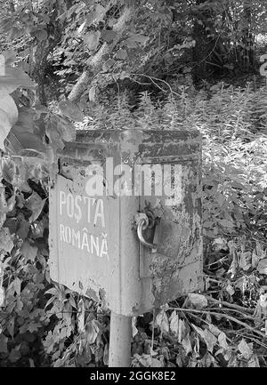 ION CORVI, ROMANIA - 28 luglio 2021: Una foto in scala di grigi di una vecchia cassetta postale rustica circondata da piante in un giardino Foto Stock