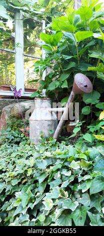 Annaffiatoio antico tra piante verdi in giardino, Italia, Lombardia, Regione Idrosee Foto Stock