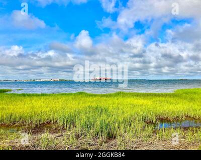 Erba di mare, Charleston, Carolina del Sud, con nave container in mezzo lontano Foto Stock