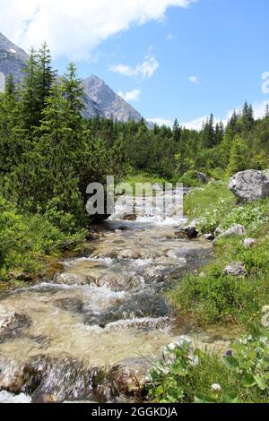 Austria, Tirolo, Leutasch, Leutaschtal, Gaistal, Montagne, alpi, Monti Wetterstein, paesaggio montano, paesaggio montano, idillio, ruscello, ruscello, atmosferica, estate, cielo, rocce, turismo, natura, alberi, Leutascher Ache Foto Stock