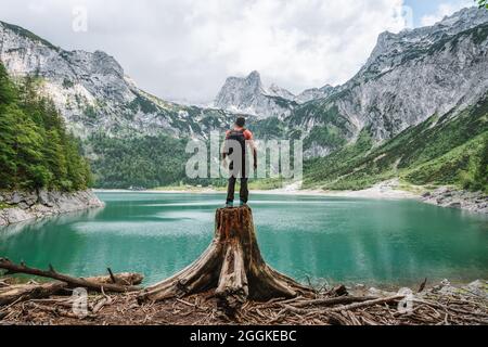 Uomo viaggiatore in piedi su un albero di groppa ejoying vista delle montagne di picco di Dachstein su un lago superiore di Gosau. Gosau, Salzkammergut, Austria, Europa. Foto Stock