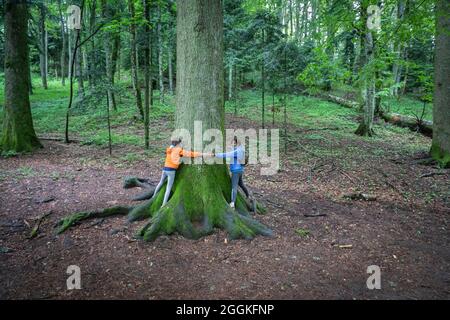 Madre e figlia abbracciano un gigantesco tronco di faggio nelle foreste del Casentino, la Verna, Santuario Francescano, chiusi della Verna, Arezzo, Toscana, Italia Foto Stock