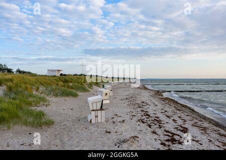 Germania, Meclemburgo-Pomerania occidentale, Vitte, sedie da spiaggia si trovano in una lunga fila sulla spiaggia dell'isola baltica di Hiddensee Foto Stock