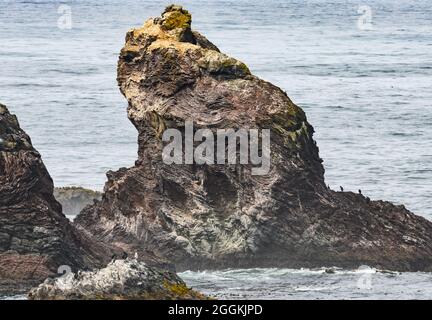 Affioramenti di rocce altamente deformate lungo la costa del Pacifico. Firenze, Oregon, Stati Uniti. Foto Stock