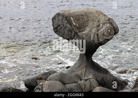 La roccia di Kannesteinen, a forma di fungo, sulla costa di Oppedal, Vågsøy non lontano da Måløy, è un fenomeno geologico e un monumento naturale realizzato dal mare Foto Stock