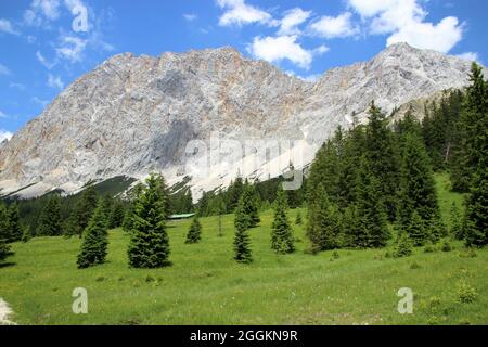 View, Ehrwalder Alm, Ehrwalder Bergbahn, Austria, Tirolo, Ehrwald, Zugspitze (2962 m) Foto Stock