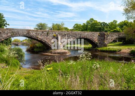 Il Ponte Vecchio (Ponte Romano) sul fiume Esk a Musselburgh, Scozia Foto Stock
