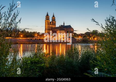 Germania, Sassonia-Anhalt, Magdeburg, Cattedrale di Magdeburg in estate, letto del fiume dell'Elba, passeggiata sull'Elba Foto Stock