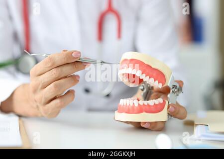 Il medico dentista tiene la mandibola artificiale umana e lo strumento primo piano Foto Stock