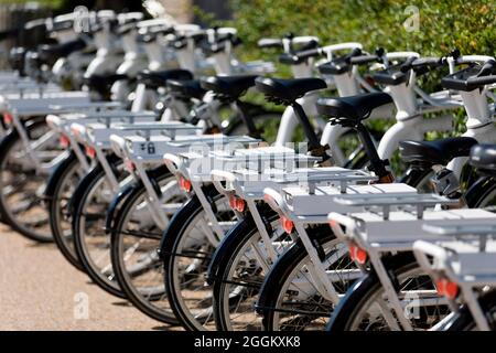 Noleggio biciclette in piedi l'una accanto all'altra Foto Stock