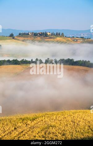 Paesaggio tipico toscano, mattina con nebbia nelle valli e colline ondulate delle Crete Senesi, asciano, provincia di siena, toscana, italia Foto Stock