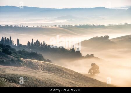 Paesaggio tipico toscano, mattina con nebbia nelle valli e colline ondulate delle Crete Senesi, asciano, provincia di siena, toscana, italia Foto Stock