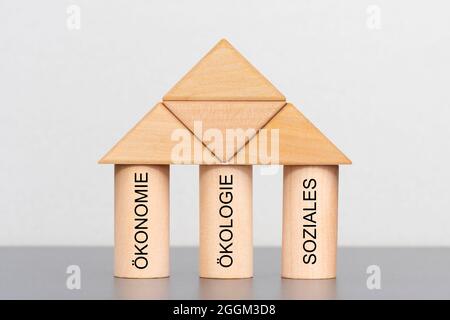 Tre pilastri della sostenibilità con le questioni economiche, ecologiche e sociali Foto Stock