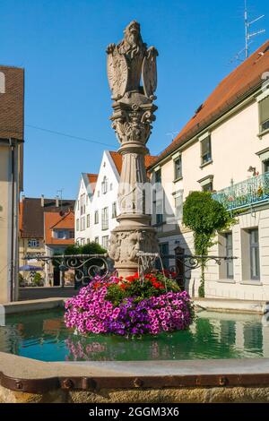 Germania, Baden-Wuerttemberg, Munderkingen, fontana del mercato, colonna di fontana, leone come figura di supporto dello scudo con lo stemma della città e lo stemma dell'Austria. Munderkingen si trova sulla strada barocca superiore Svevo e sulla pista ciclabile del Danubio. Foto Stock
