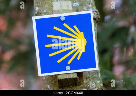 Germania, Baden-Wuerttemberg, marcature sulla strada di San Giacomo Foto Stock