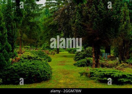 Alberi, prati e siepi in un cimitero pubblico Foto Stock