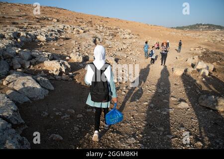 Dal 2004 i bambini del villaggio di Tuba stanno andando a scuola nel vicino villaggio di AT-Tuwani, 2.6 km di distanza - mentre sono stati condotti da un attivista ebraico e un veicolo delle forze di difesa israeliane per proteggerli dagli attacchi violenti da parte dei coloni ebrei religiosi dall'avamposto illegale di Maon Farm, che si trova sul loro cammino verso la scuola. Palestina / Israele, a sud di Hebron. 31 agosto 2021. (Foto di Matan Golan/Alamy Live News) Foto Stock