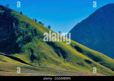 Una delle cose migliori di Teletubbies Savanna è che si trova vicino al Monte bromo. Infatti, risiede nella parte orientale del bromo Crate Foto Stock