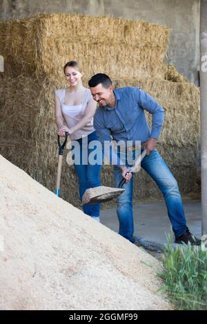 Due lavoratori agricoli positivi che detengono pale grandi Foto Stock