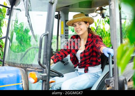 Allegro giovane agricoltore donna che lavora su un piccolo trattore in frutteto Foto Stock