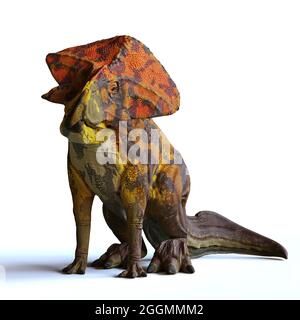 Protoceratops, dinosauro del tardo periodo cretaceo, seduta isolata con ombra su sfondo bianco, rendering paleoart 3d Foto Stock