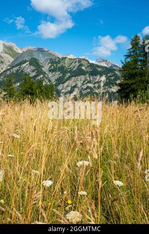 Paesaggio montano terreno pov con erba gialla e bella vista dall'alto - cielo blu con nuvole - ambiente e natura panoramica all'aperto Foto Stock