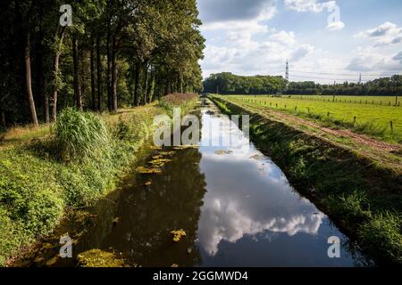 Il fiume Issel nei pressi di Wesel, regione del basso Reno, Renania settentrionale-Vestfalia, Germania. Die Issel bei Wesel, Niederrhein, Nordrhein-Westfalen, Germania. Foto Stock